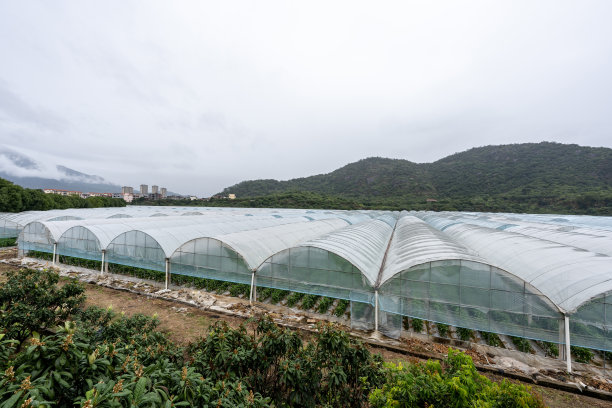 新型农村现代农业大棚图片下载