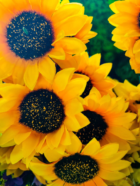 花卉人工装饰图片下载