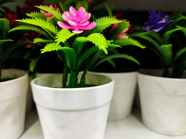 花卉人工装饰图片下载