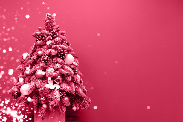 美丽的圣诞树装饰在洋红色的背景灯图片下载