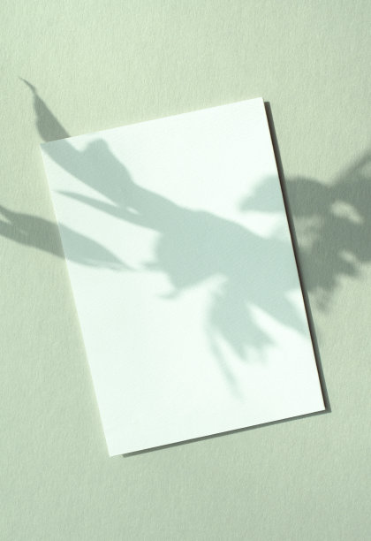 植物阴影和卡片模型图片下载