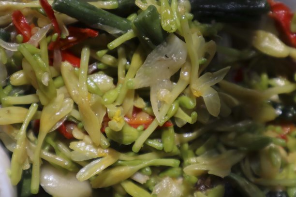 早餐食物的照片，米饭，凯特花蔬菜和鸡蛋图片下载