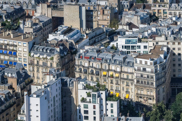 巴黎，鸟瞰，古建筑图片下载