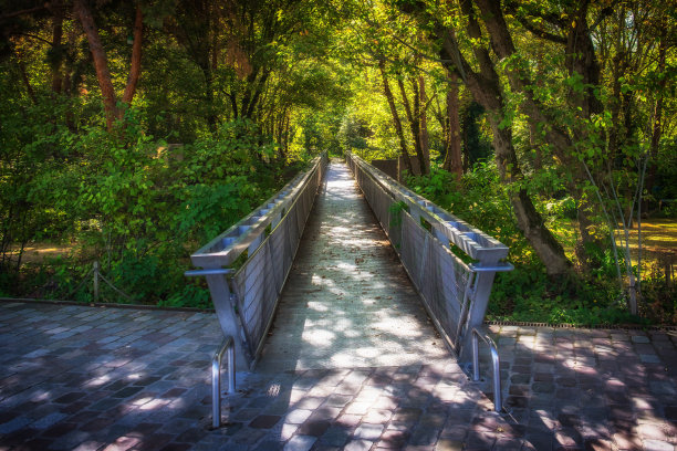 维莱特公园人行道图片下载