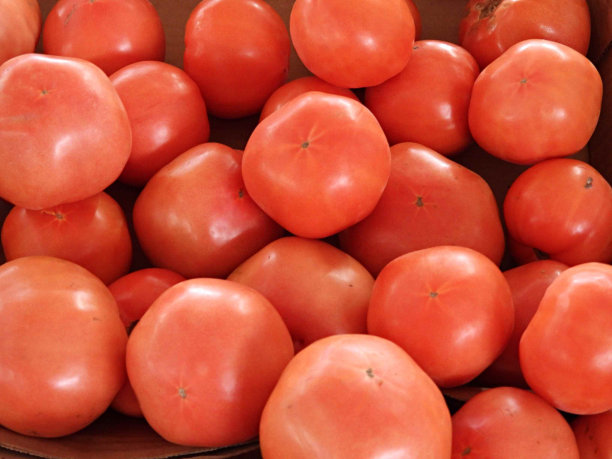 大番茄@ 1.99美元/磅。茄科(茄属)图片下载