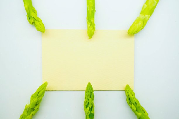 绿色芦笋提示和黄色信息框架模型图片下载