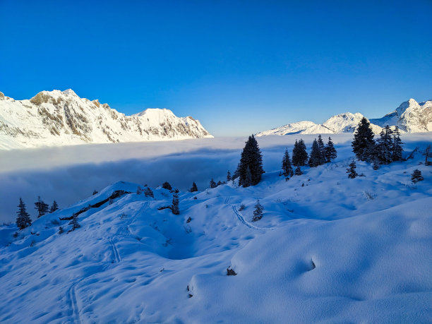在瑞士阿尔卑斯山滑雪登山。在格劳斯和施维茨的西尔贝伦山上，迅猎兽在雾中翱翔。冬季户外活动。高质量照片图片下载