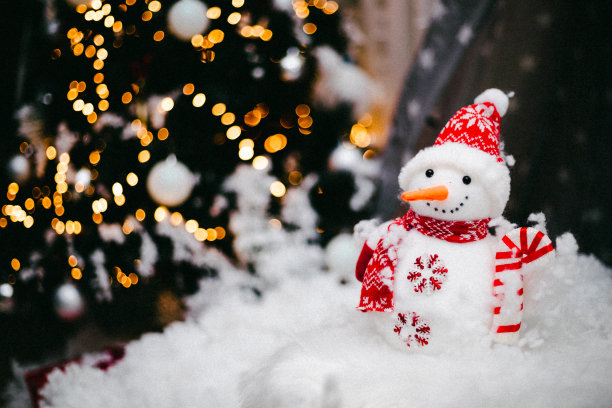 小玩具雪人和圣诞灯图片下载