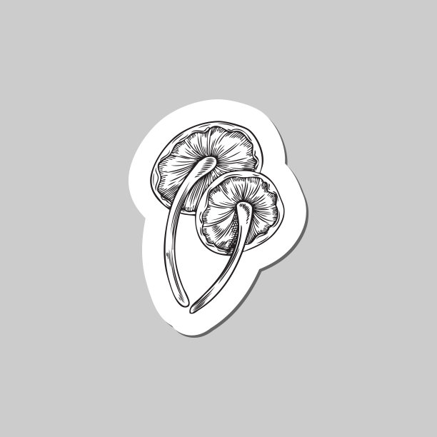 手绘魔术蘑菇素描风格，贴纸矢量插图孤立在灰色背景。迷幻蘑菇纹身素描。复古风格的迷幻蘑菇。图片下载