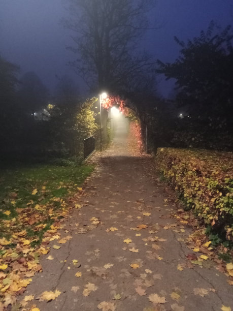 塔斯楚普区的秋夜图片下载