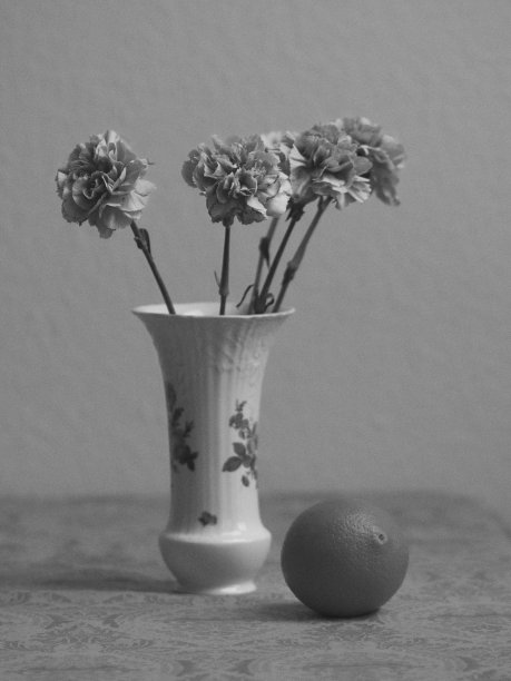 粉色康乃馨和橙色的静物。图片下载