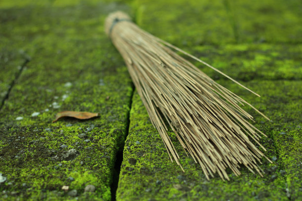 飞天扫帚图片下载