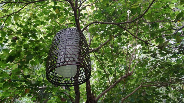 竹制灯罩，悬挂在公园花园的树上图片下载