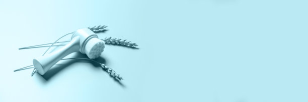 麦穗面刷。横幅图片下载
