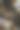 漂亮的照片，一只可爱的松鼠站在长满苔藓的树上图片下载
