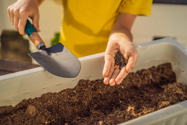 那个男孩正在阳台上做园艺。儿童的自然发展图片下载