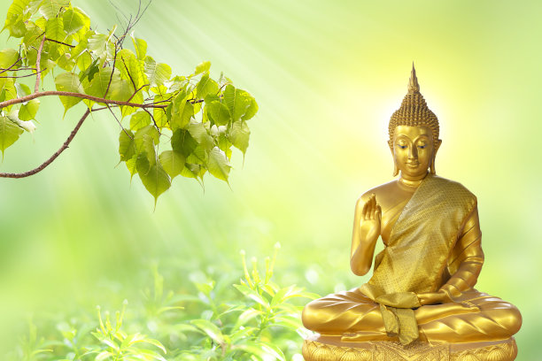 佛像坐在金黄色的背景，后面的菩提叶与复制空间。Magha Puja, Asanha Puja，卫塞节Puja日，泰国文化图片下载