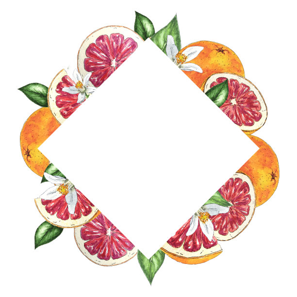 水彩框架的红橘子和葡萄柚，花，叶子，手绘植物风格，用于假日，婚礼和食品设计图片下载