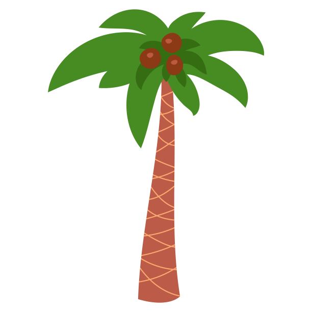 扁平的大棕榈树图片下载