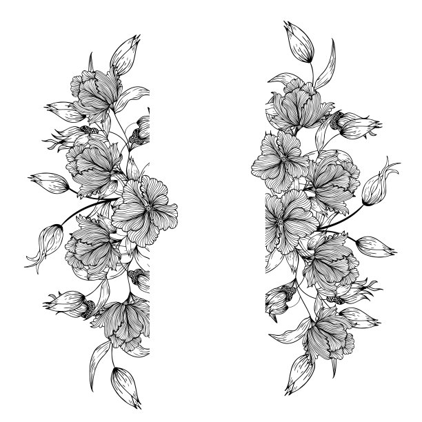 花卉框架与花卉装饰。邀请，背景，横幅，海报，明信片。为文本留出空间。可用于织物或纸张上的印刷。姹紫嫣红，花、草、叶、枝图片下载