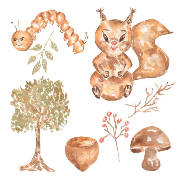 秋天的森林植物和动物，孤立在白色背景上。插图的叶子，树，坚果，浆果，蘑菇和森林动物。毛毛虫和松鼠。图片下载