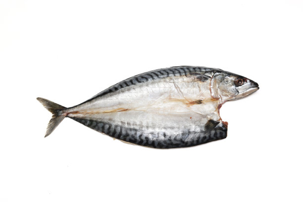 鲭鱼切开，在白色背景上单独晾干。图片下载