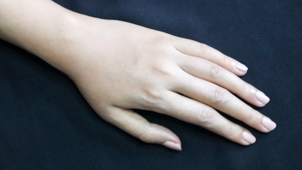 手的模型图片下载