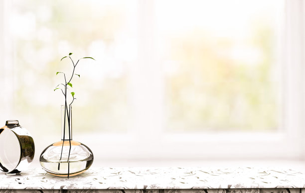 在一个阳光明媚的下午，有复制空间的橱窗前的花卉展示。图片下载