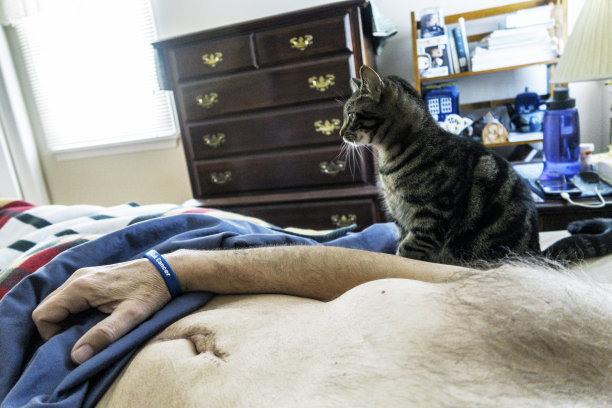 宠物猫坐在康复的癌症手术病人身边图片下载