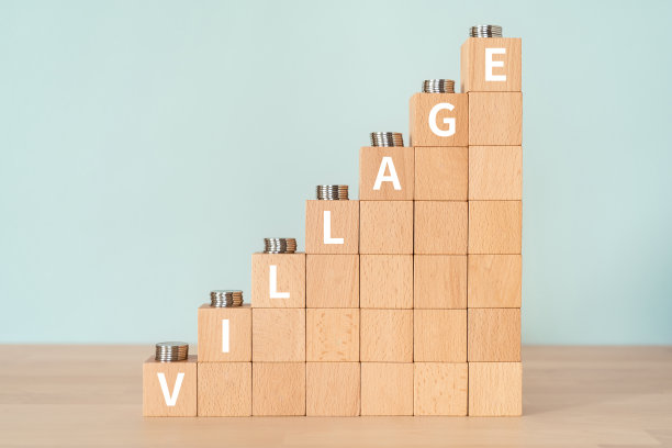 带有“VILLAGE”概念文本的木块和硬币。图片下载