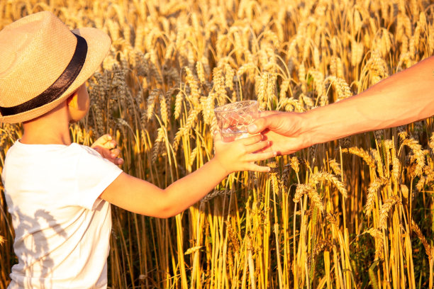 一个男孩拿着一杯水，在麦田里喝水的特写镜头。图片下载
