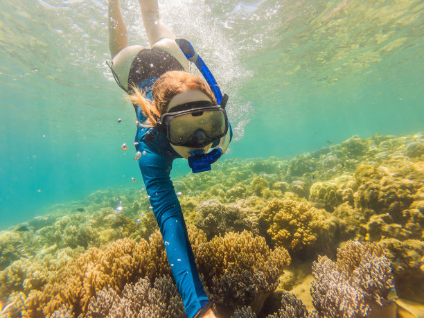 在热带水域浮潜的年轻女子图片下载