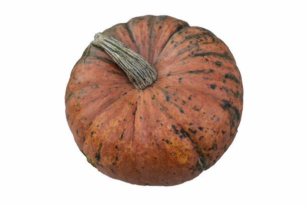 逼真的南瓜孤立在白色背景上，万圣节的象征图片下载