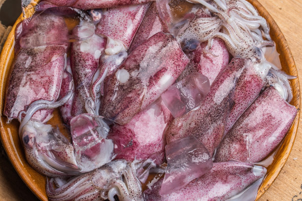 新鲜的生鱿鱼，加冰和欧芹，放在灰色的桌子上，平铺。在木制背景上。图片下载