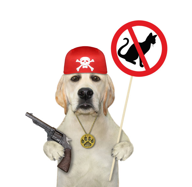 拉布拉多犬举着禁猫牌图片下载