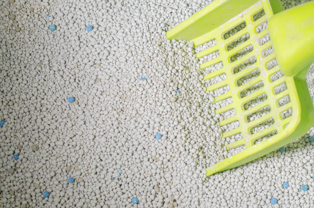 猫砂盒里的猫砂图片下载