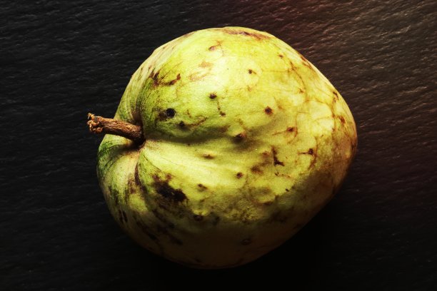 为食物插画家在石板背景上拍摄整个番荔枝果实图片下载