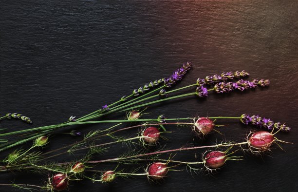 摄影一束大马士革黑草和薰衣草枝在石板背景菜单，标签或标志图片下载