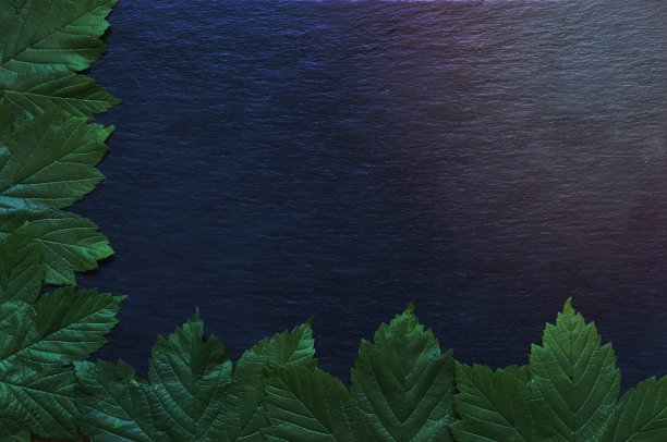 照片的mapple叶石板背景餐厅菜单图片下载