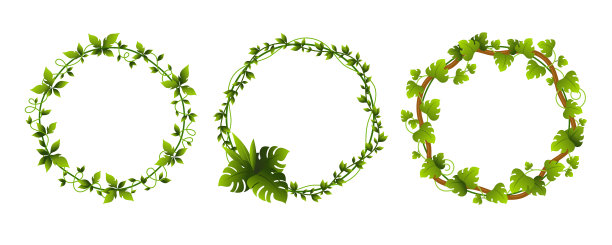 爬山虎圈框架攀爬绿色植物装饰元素集矢量平面插图图片下载