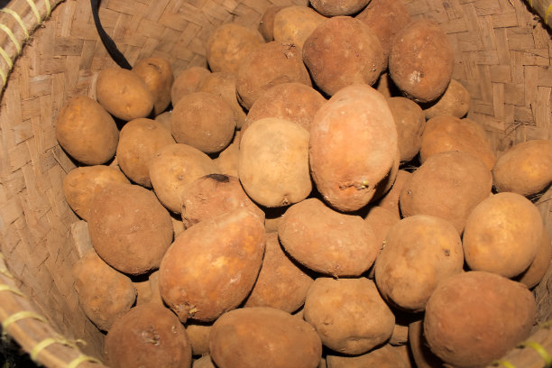 一堆土豆水果的照片图片下载