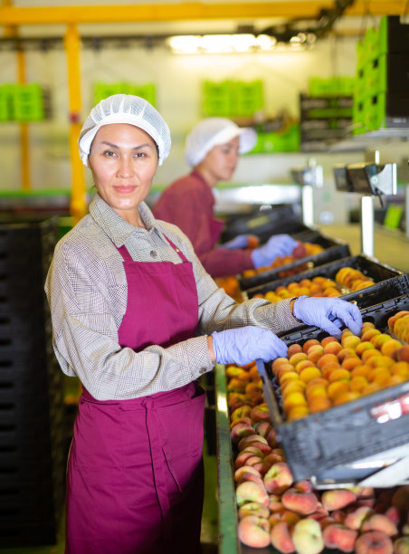 两个女人在分类桃子图片下载