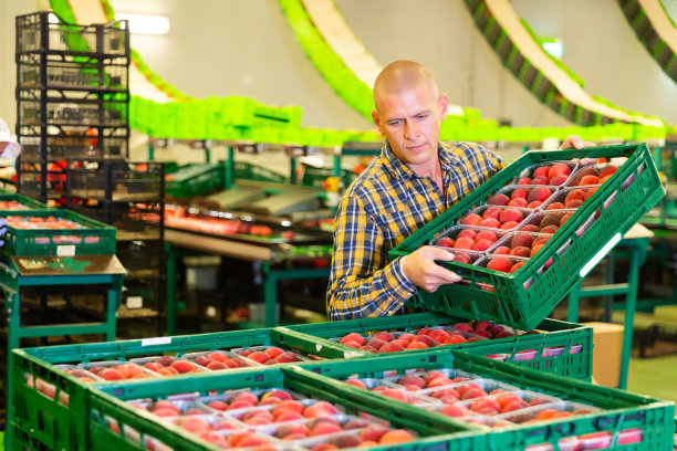 仓库里装桃子的人图片下载