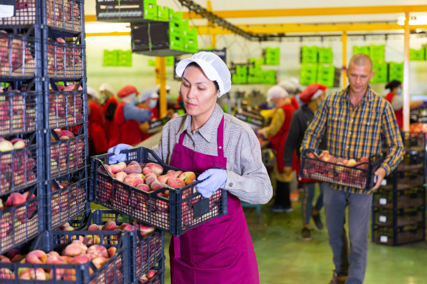 男人和女人在分拣室工作图片下载
