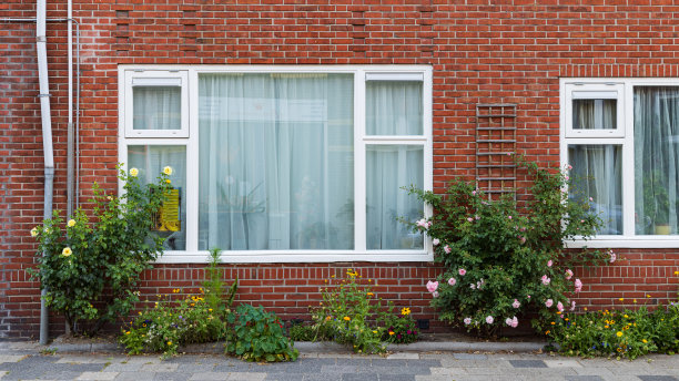 荷兰格罗宁根的城市绿化图片下载