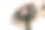 手捧一束粉红色和紫红色的花。图片下载