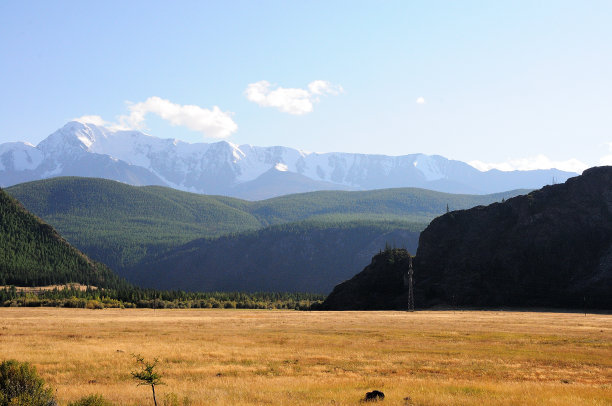 平坦的山谷，四周是茂密的针叶林，远处是白雪皑皑的山峰。图片下载