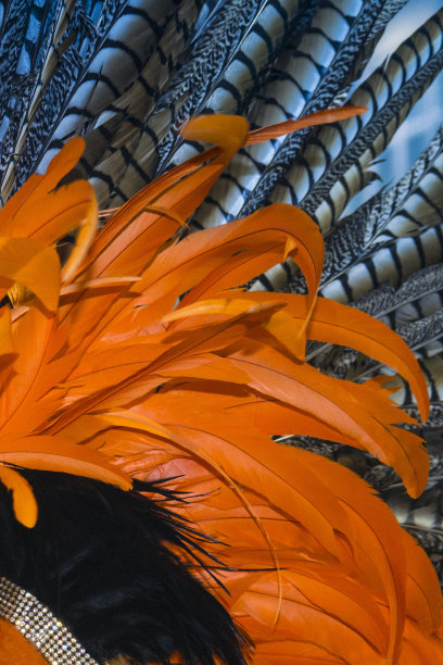 狂欢节图片下载