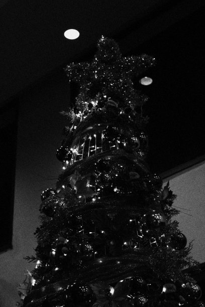 大圣诞树。单色色调图片下载