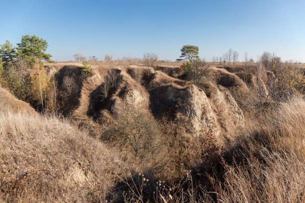 峡谷，陡峭的粘土斜坡上长满了单株树图片下载